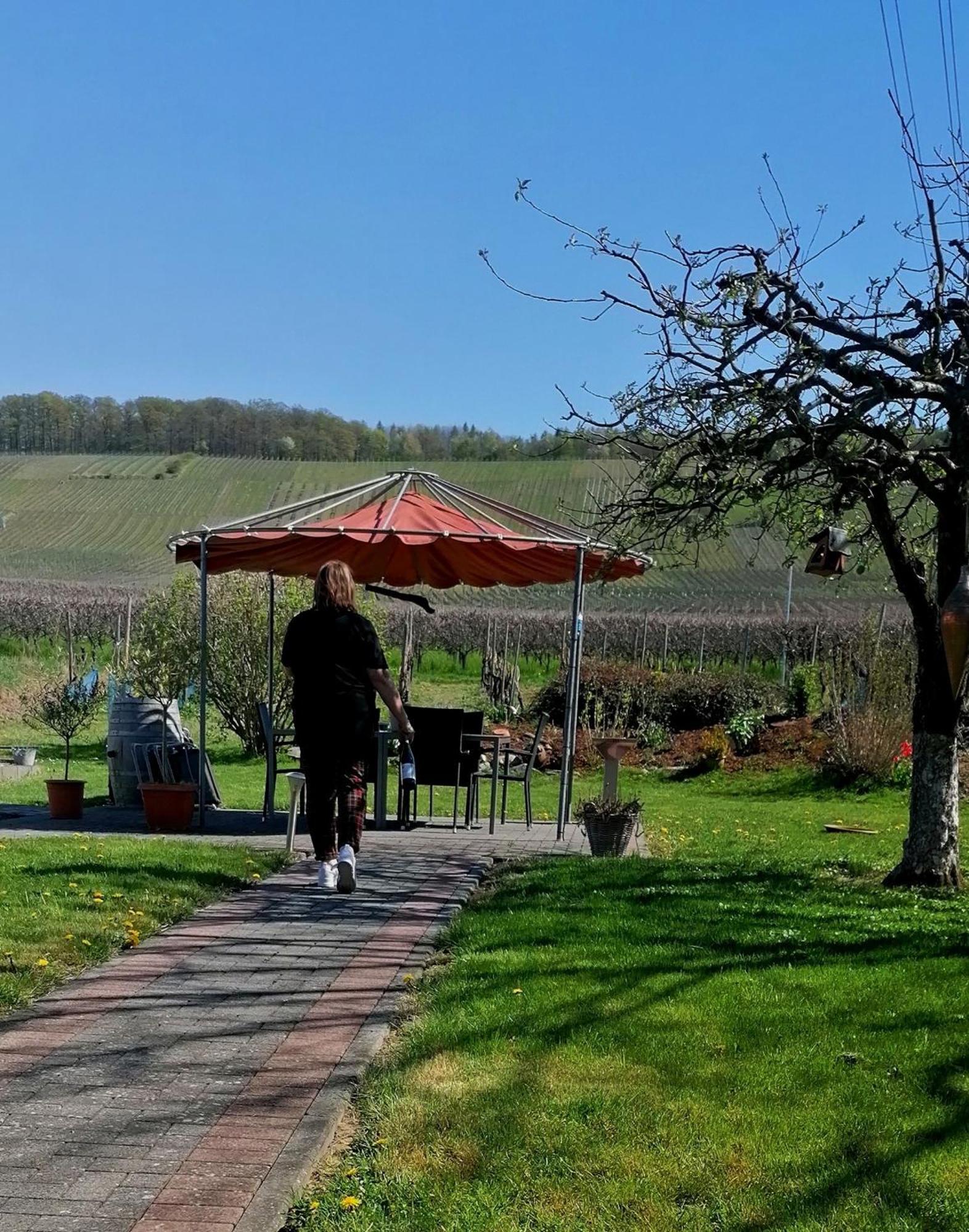 Bed and Breakfast Weingut Tiliahof Браунеберг Экстерьер фото