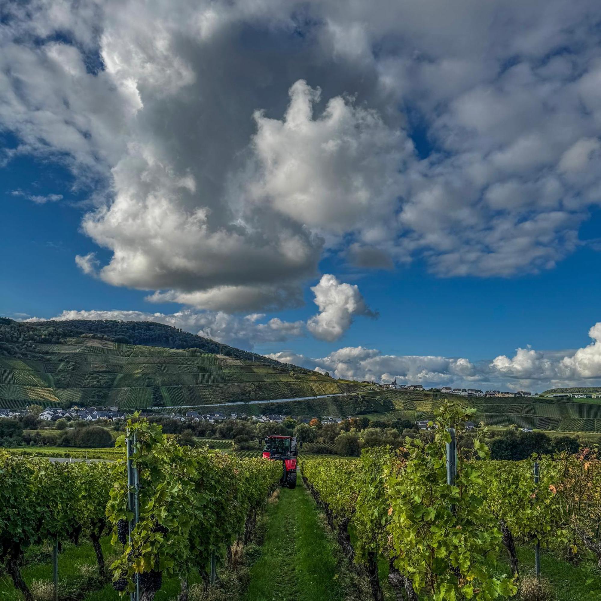 Bed and Breakfast Weingut Tiliahof Браунеберг Экстерьер фото