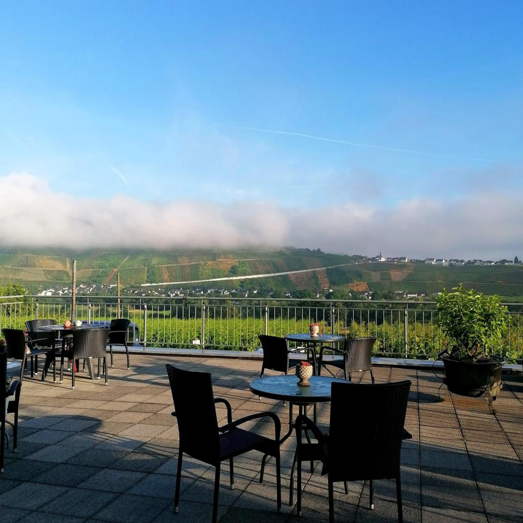 Bed and Breakfast Weingut Tiliahof Браунеберг Экстерьер фото